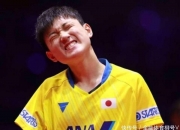 开云体育入口-日本乒乓球队逆转波兰乒乓球队，奥恰洛夫爆发神勇的简单介绍