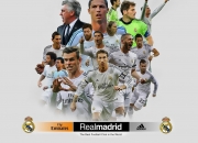 开云足球直播-当鹈鹕提前终结悬念，我们如何理解德甲争冠的唯一性？