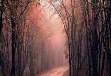 开云下载-关于勇士队实力碾压对手，狂胜分夺冠的信息