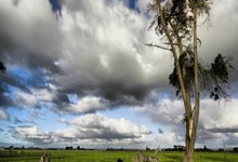 开云下载-关于勇士队实力碾压对手，狂胜分夺冠的信息