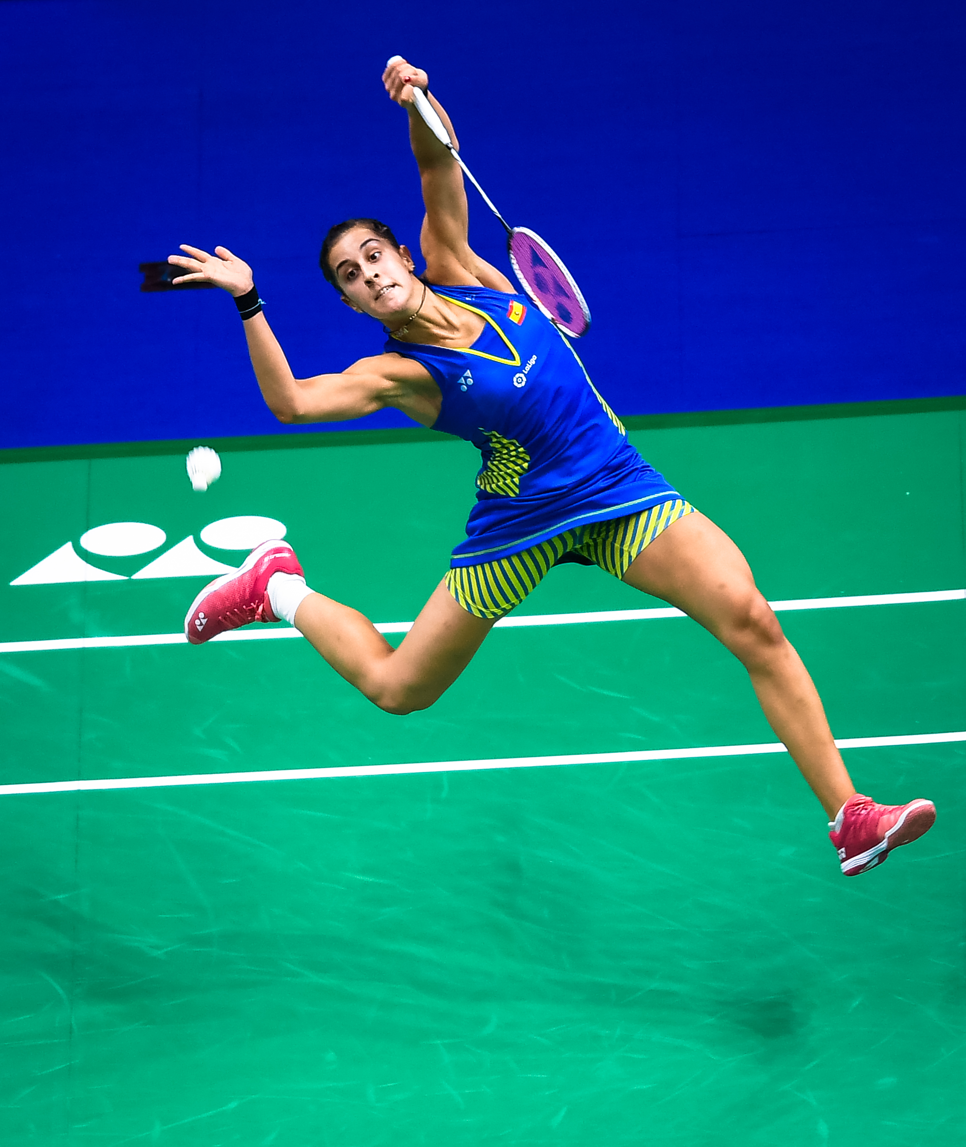 关于日本羽毛球队绝杀印尼羽毛球队，马琳惊艳世界的信息