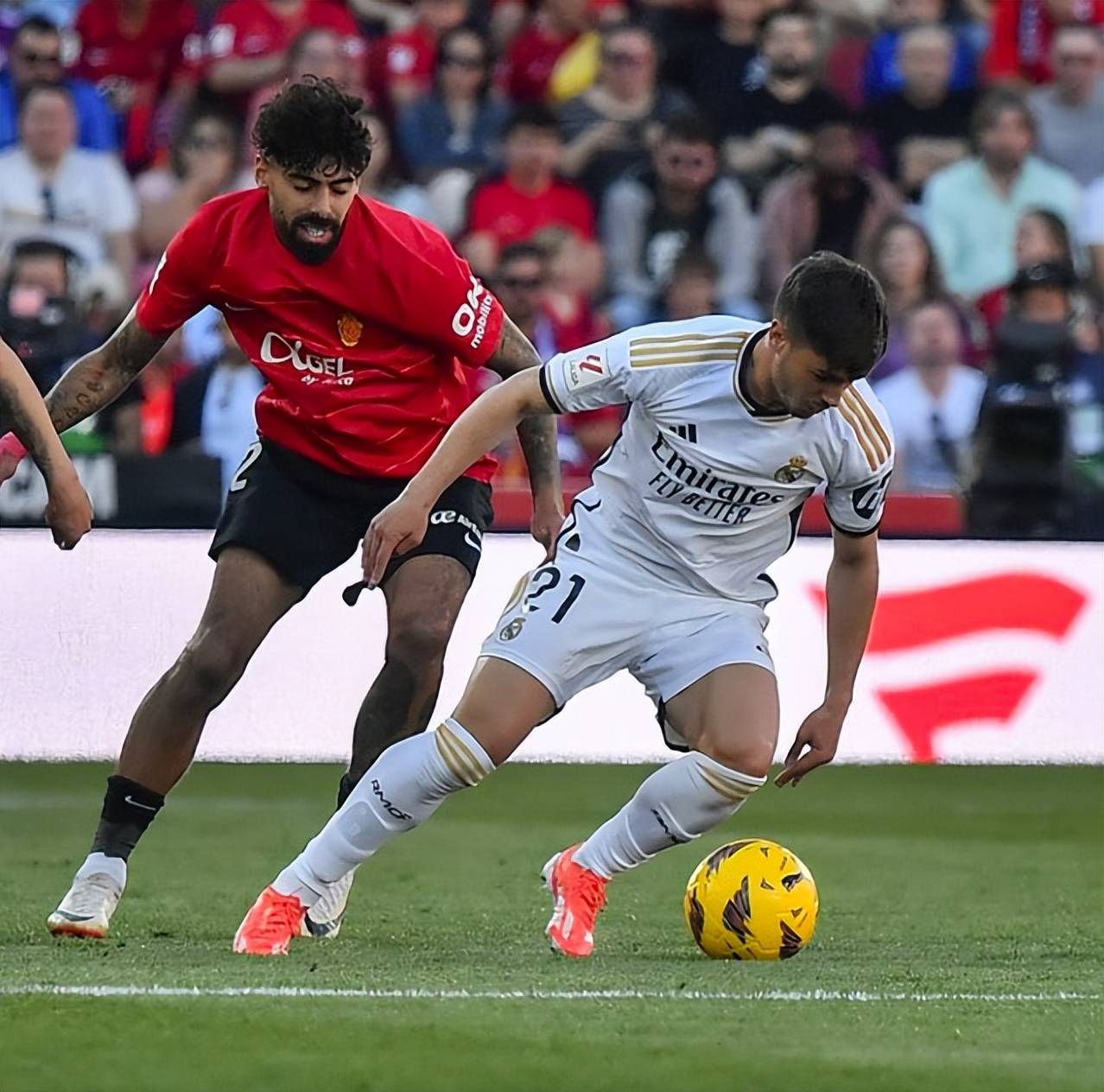 欧预赛火爆开球,热闹球场势不可挡的简单介绍 欧预赛火爆开球,热闹球场势不可挡的简单介绍