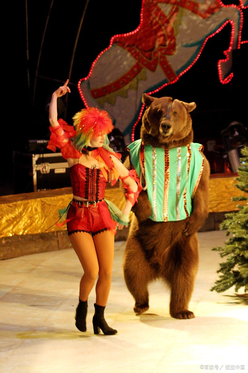 梦幻足球舞台再开启，精湛技艺令人叹为观止的简单介绍