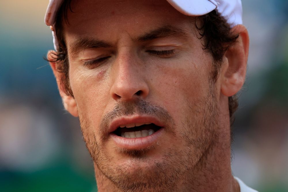 蒙特卡洛大师赛横扫澳网，穆雷刷新纪录的简单介绍