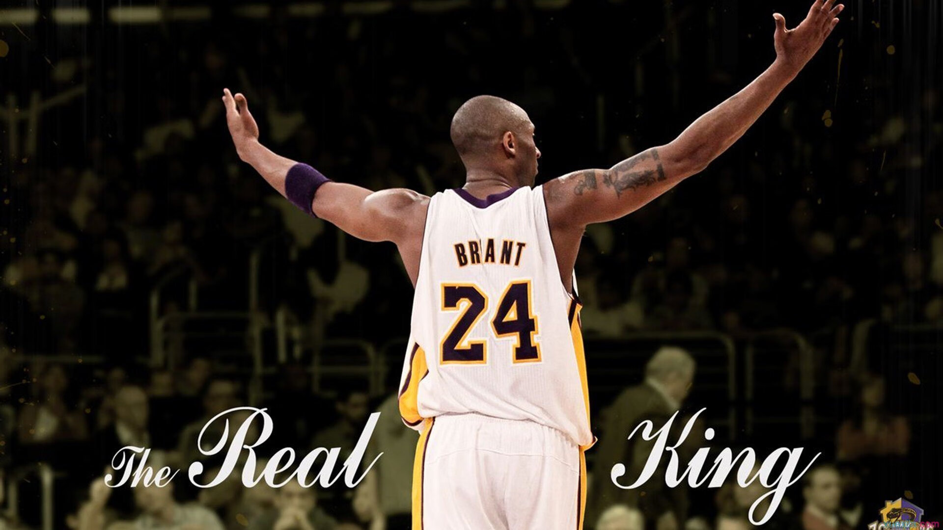 戈贝尔,当唯一的防守艺术,在山西与掘金的碰撞中照亮篮球本质